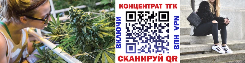 Купить закладки  Волчанск  ТГК концентрат 