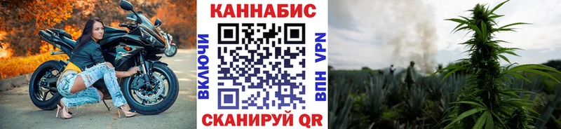 Купить где  Волчанск  Каннабис индика 